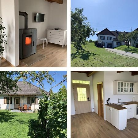 Urlaub Im Weingarten Winten  Extérieur photo