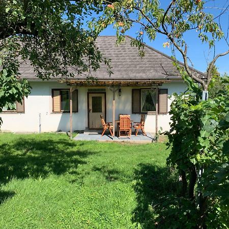 Urlaub Im Weingarten Winten  Extérieur photo