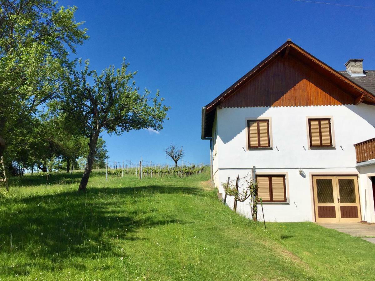 Urlaub Im Weingarten Winten  Extérieur photo