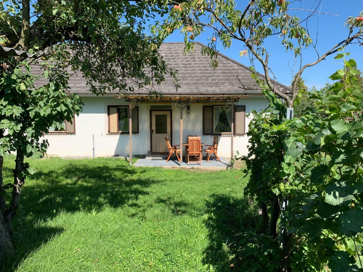 Urlaub Im Weingarten Winten  Extérieur photo