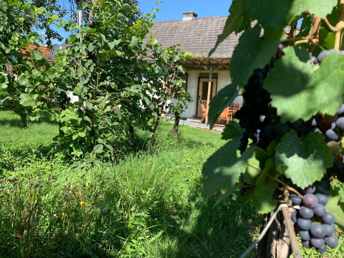 Urlaub Im Weingarten Winten  Extérieur photo