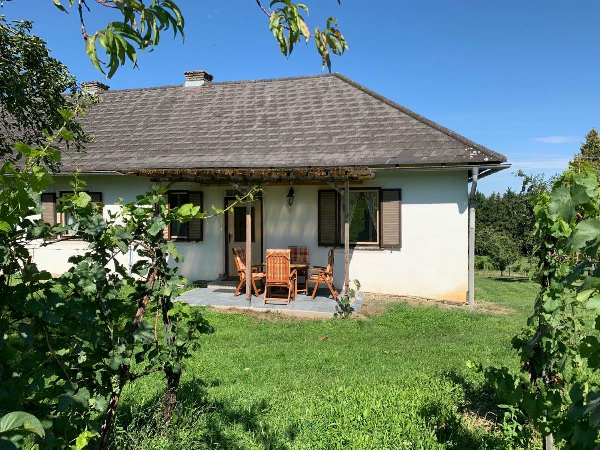 Urlaub Im Weingarten Winten  Extérieur photo